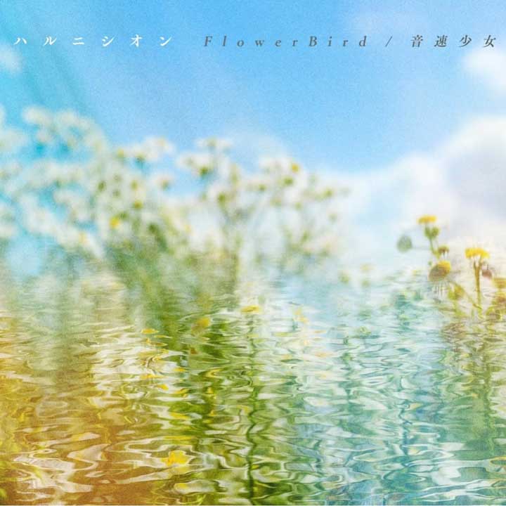 ハルニシオン/音速少女